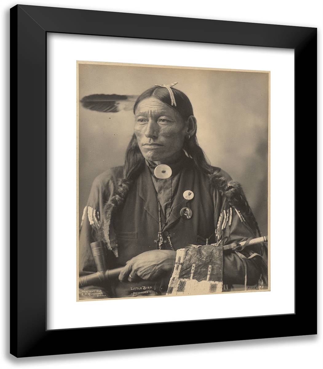 Little Bird, Arapahoe 20x23 Black Modern Wood Framed Art Print Poster by Muhr, Adolph F.