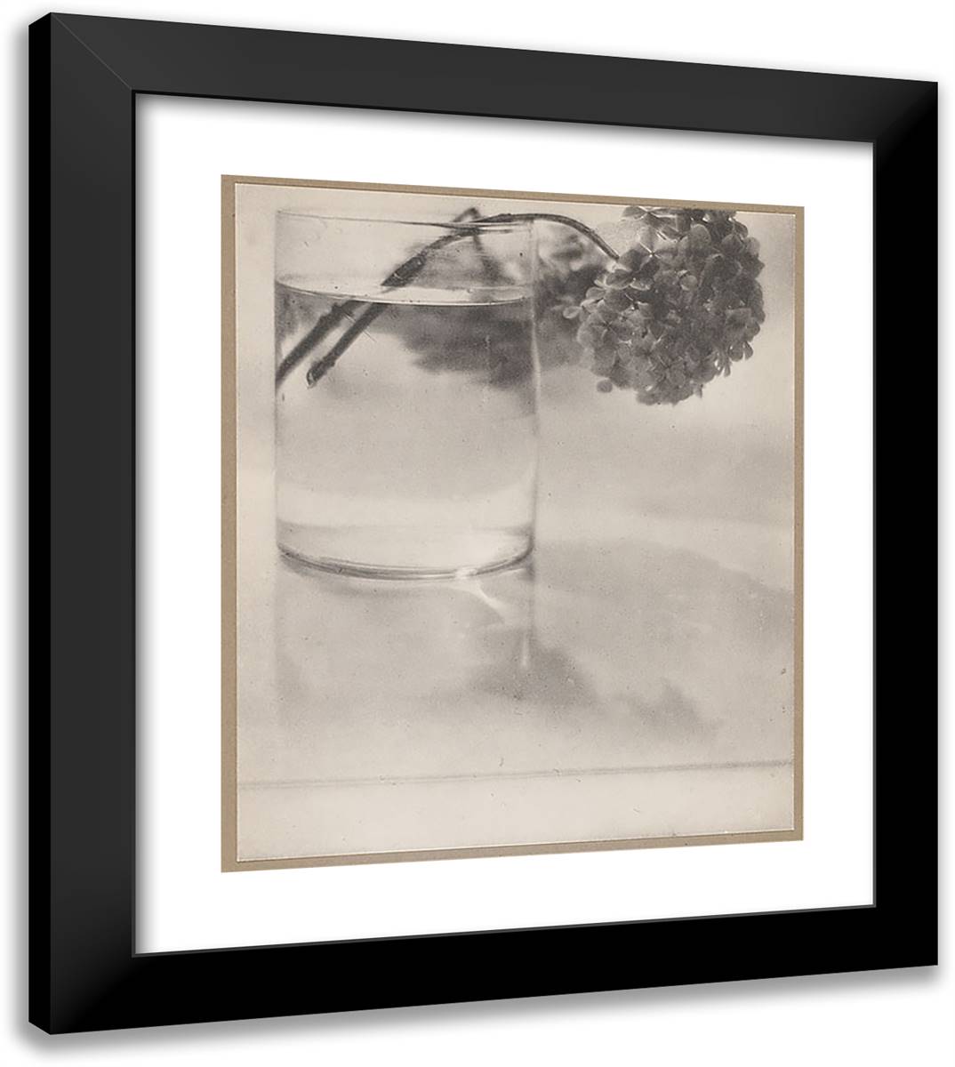Still Life 20x23 Black Modern Wood Framed Art Print Poster by Meyer, Adolph de