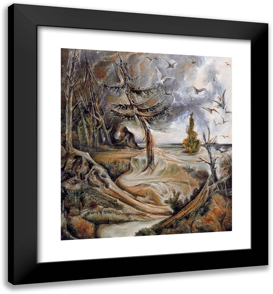 Gulls 20x22 Black Modern Wood Framed Art Print Poster by Bloch, Albert