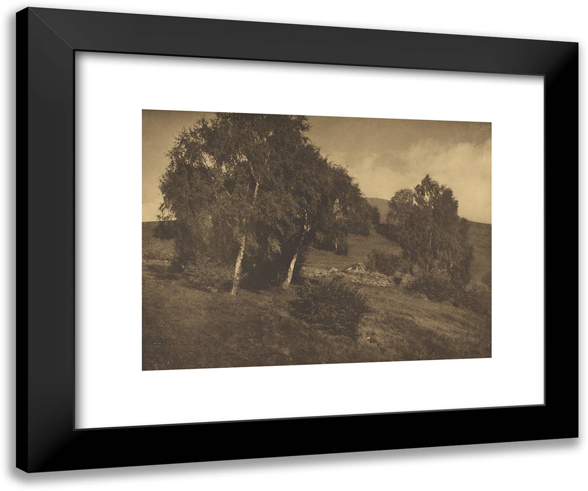 Landscape, the Tyrol 24x20 Black Modern Wood Framed Art Print Poster by Stieglitz, Alfred