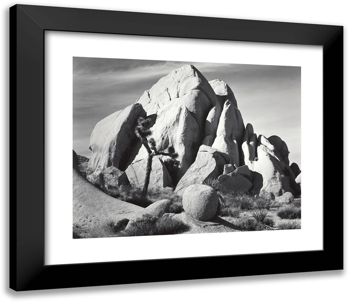 In Joshua Tree National Monument, California 23x20 Black Modern Wood Framed Art Print Poster by Adams, Ansel