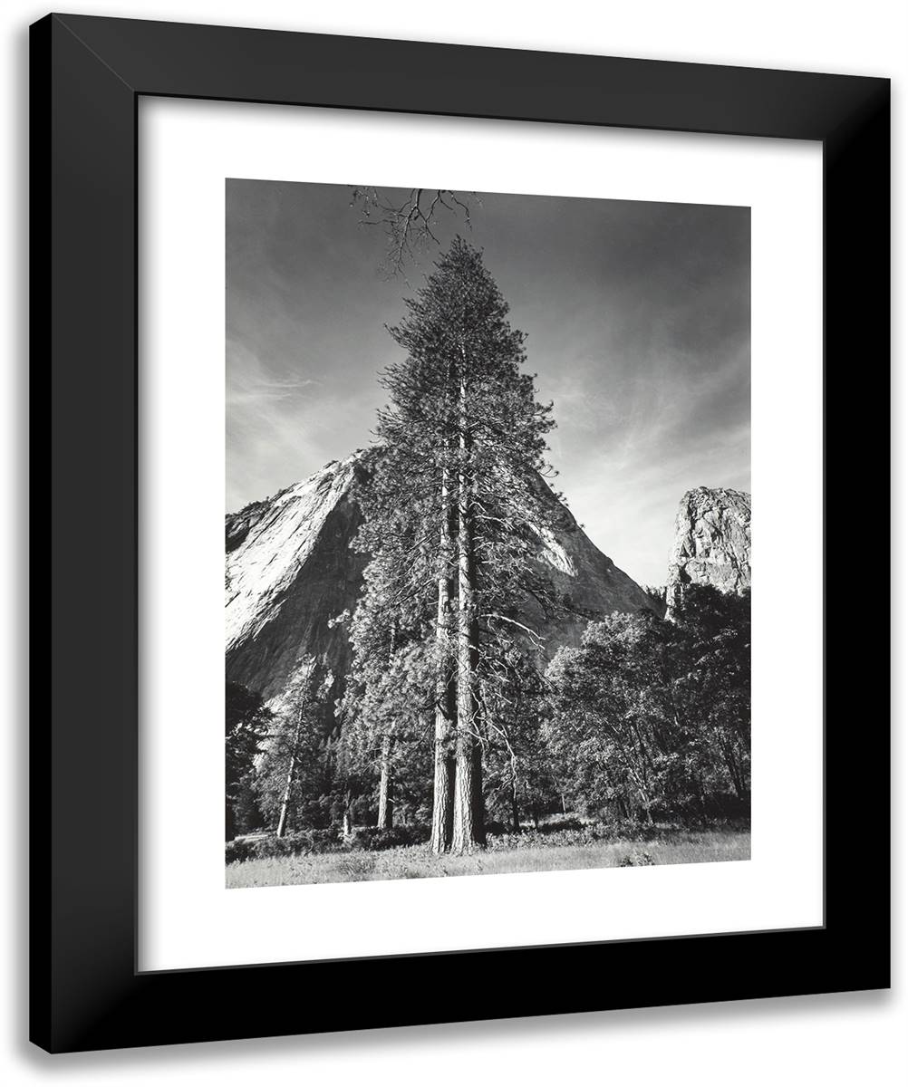 Trees and Cliffs, Yosemite National Park 20x24 Black Modern Wood Framed Art Print Poster by Adams, Ansel
