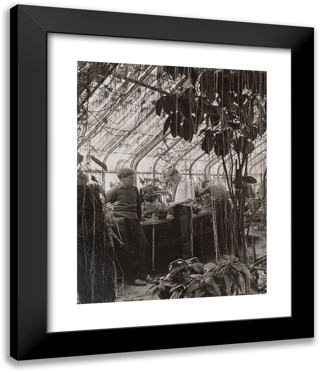 Three Men Stand in a Greenhouse 20x24 Black Modern Wood Framed Art Print Poster by Eagle, Arnold