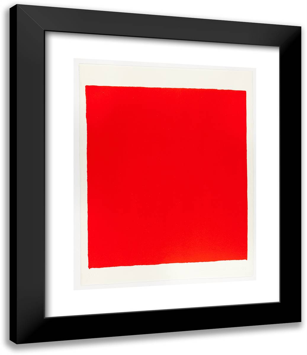 Canto XV, from 18 Cantos_1 20x24 Black Modern Wood Framed Art Print Poster by Newman, Barnett