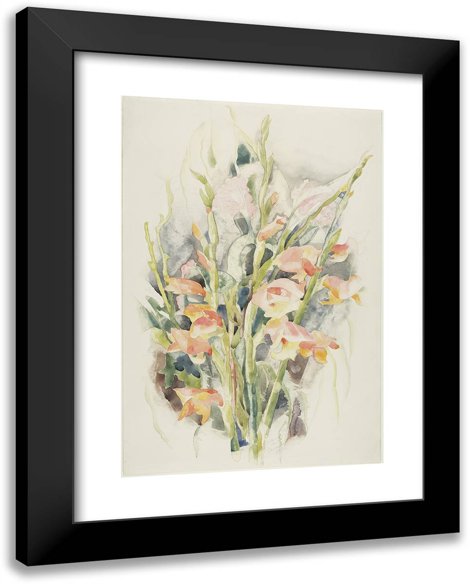 Gladioli - Flower Study #4 19x24 Black Modern Wood Framed Art Print Poster by Demuth, Charles