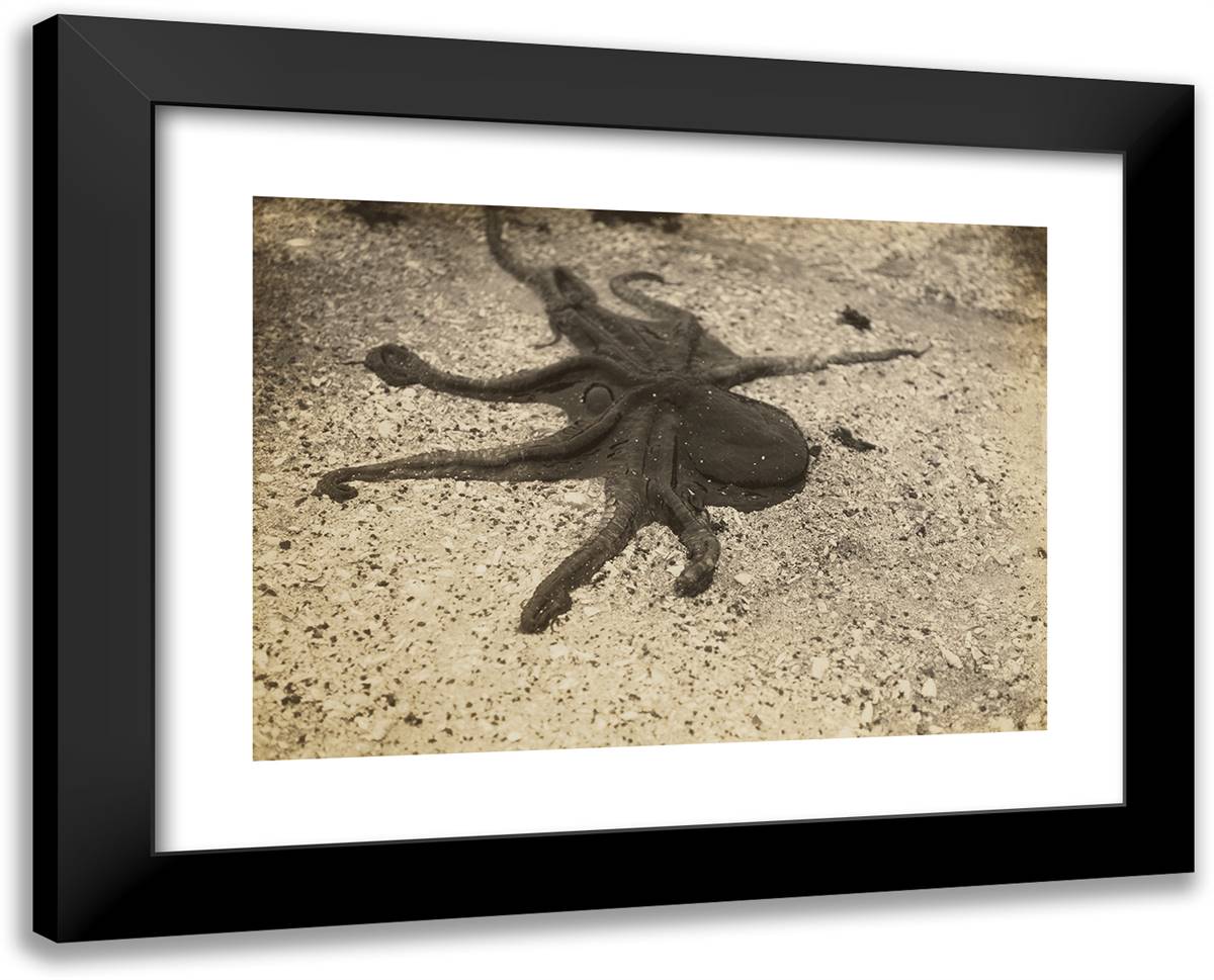 Great Is My Knowledge of the Monster That Writhes in the Oc 24x19 Black Modern Wood Framed Art Print Poster by Curtis, Edward S.