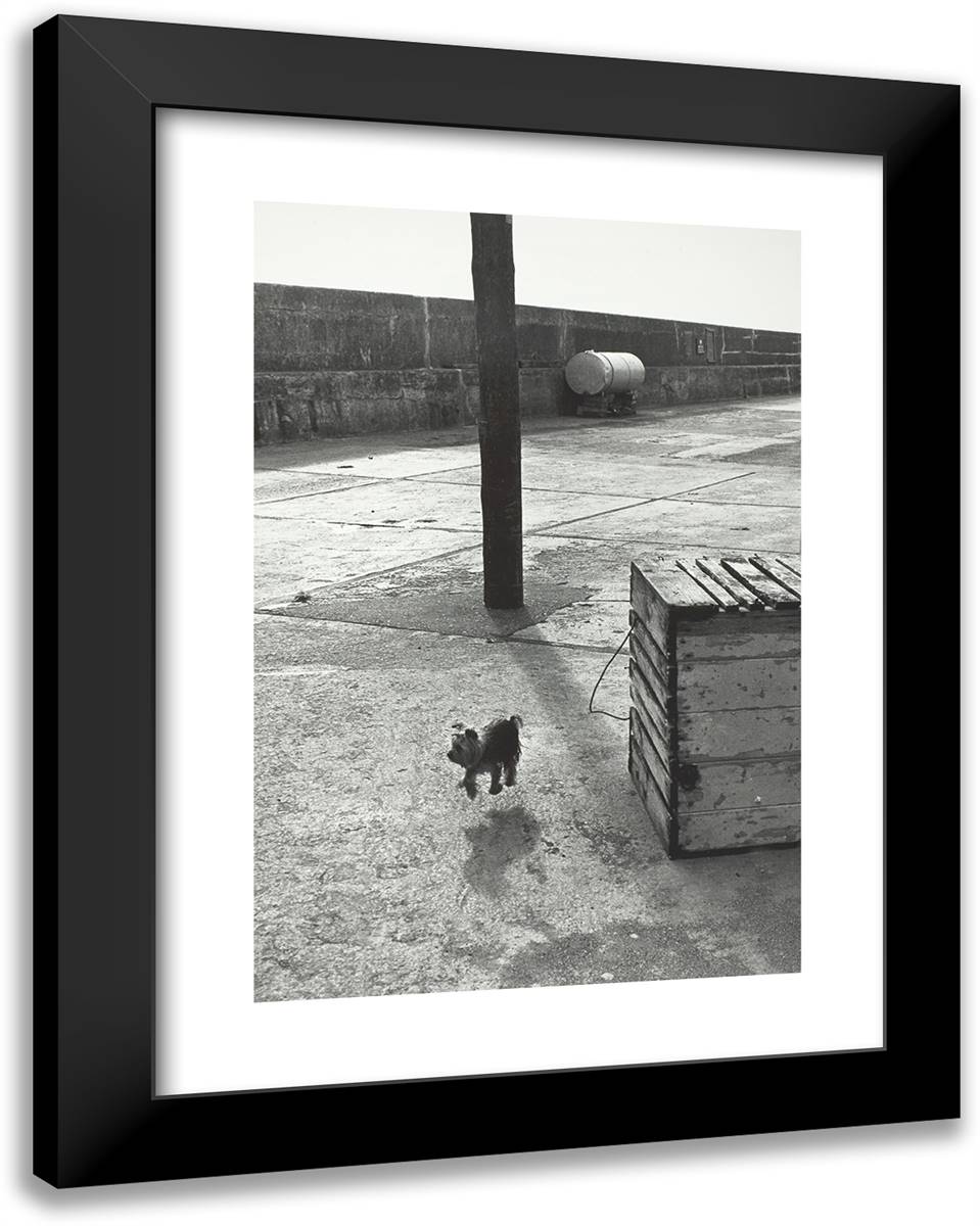 Ballycotton, Ireland 19x24 Black Modern Wood Framed Art Print Poster by Erwitt, Elliot