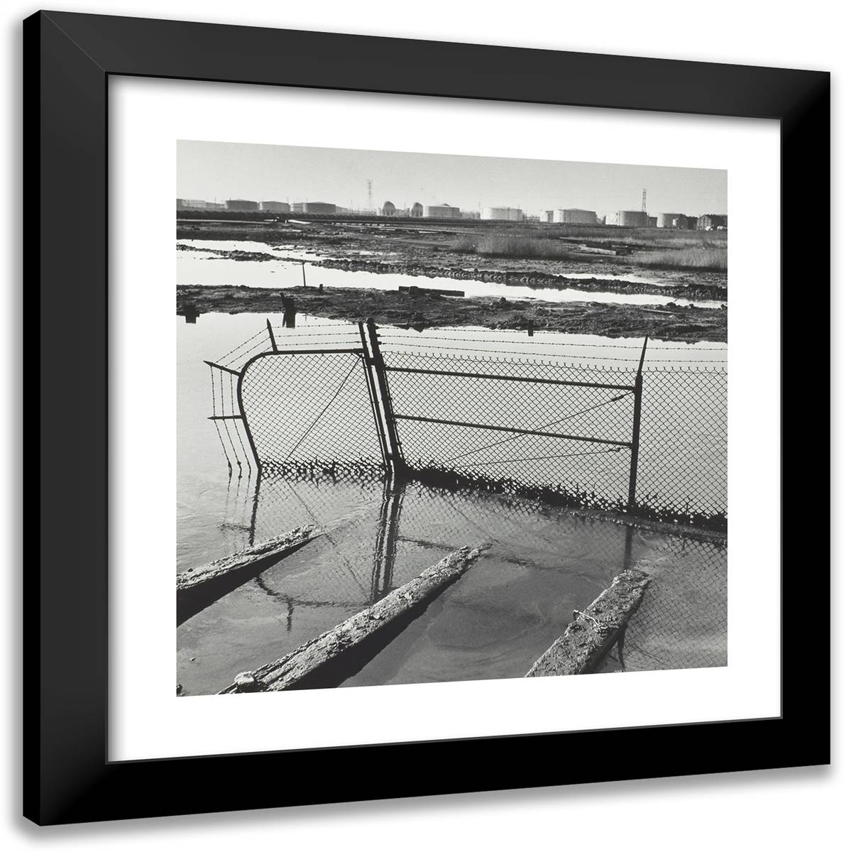 Swamp, Bayway Refinery, Linden, Nj 20x20 Black Modern Wood Framed Art Print Poster by Erwitt, Elliot