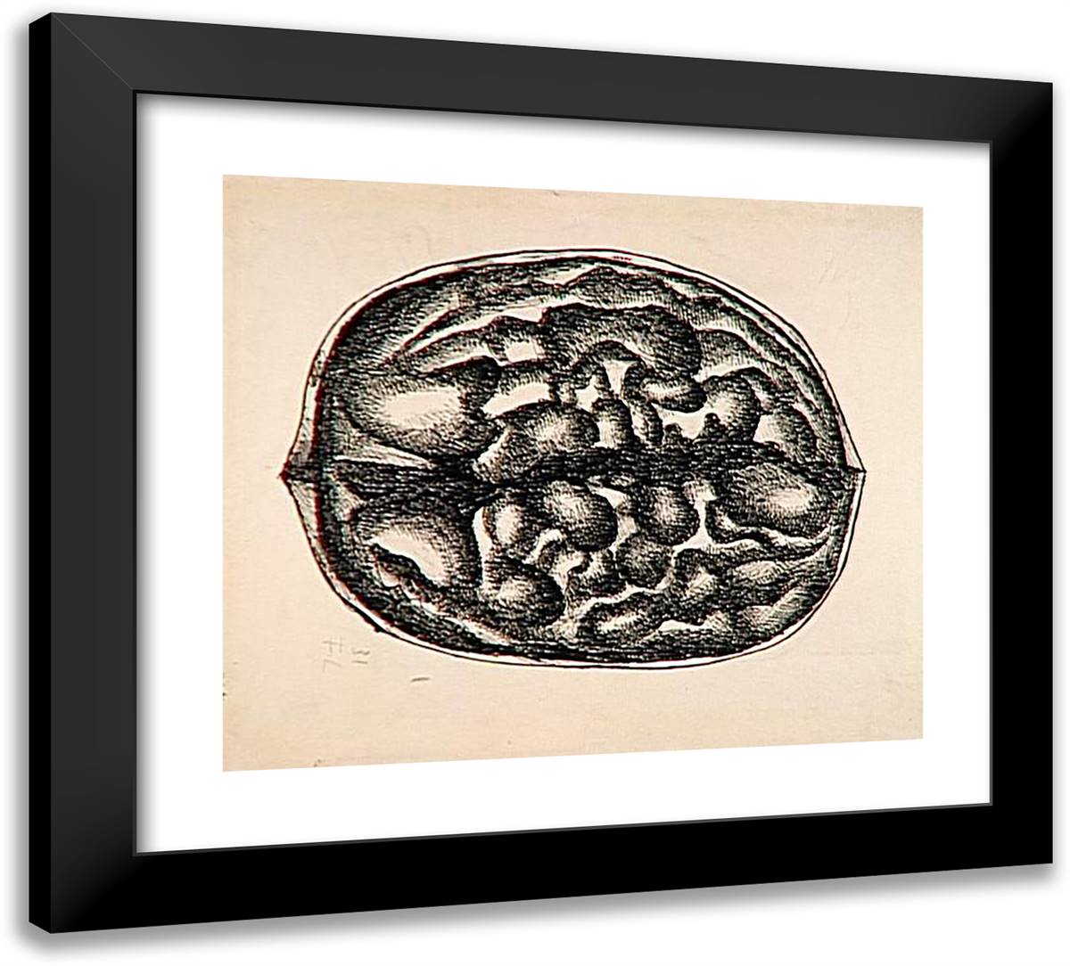 Study Nuts 22x20 Black Modern Wood Framed Art Print Poster by Leger, Fernand