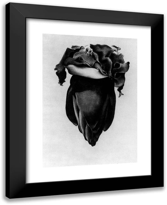 Banana Flower 19x24 Black Modern Wood Framed Art Print Poster by O'Keeffe, Georgia