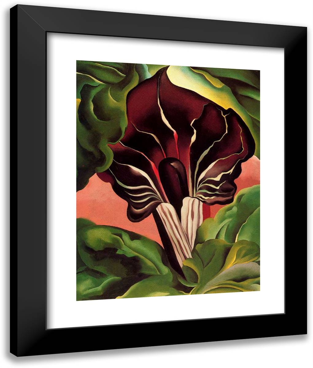 Jack-In-The-Pulpit II 20x24 Black Modern Wood Framed Art Print Poster by O'Keeffe, Georgia