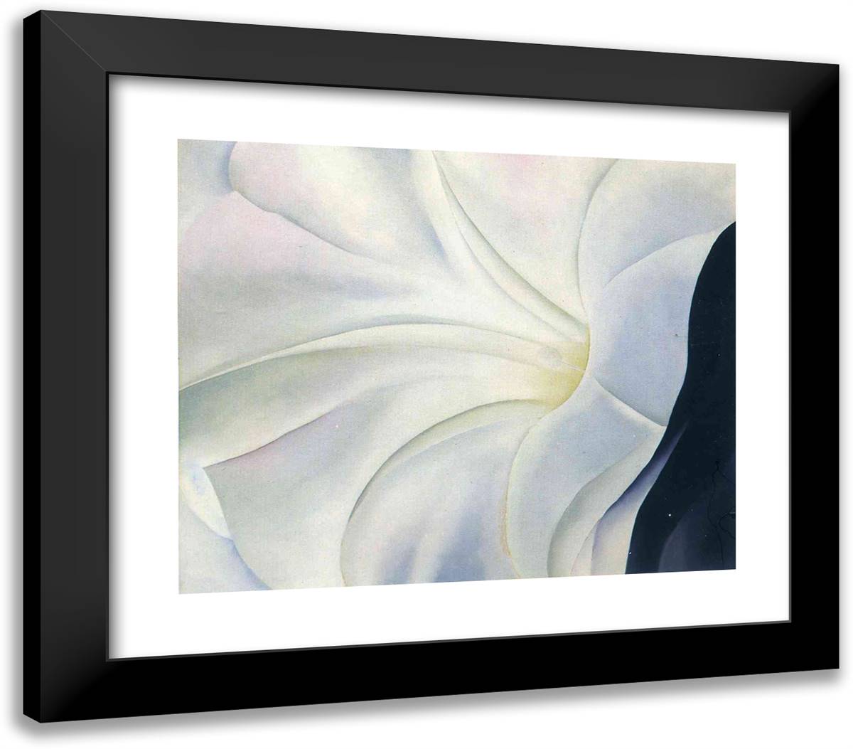 Morning Glory with Black 23x20 Black Modern Wood Framed Art Print Poster by O'Keeffe, Georgia