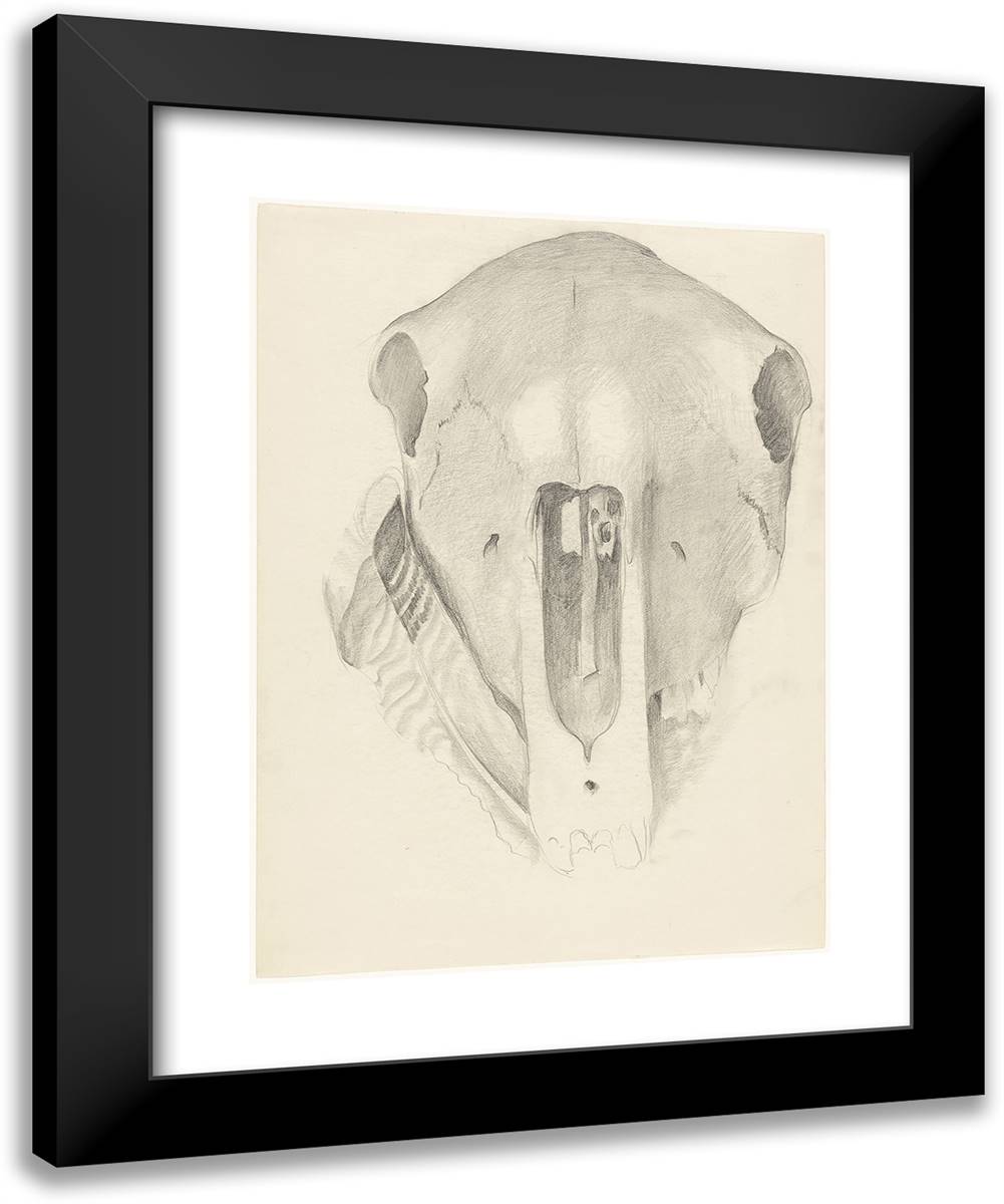 Mule Skull with Turkey Feather 20x24 Black Modern Wood Framed Art Print Poster by O'Keeffe, Georgia
