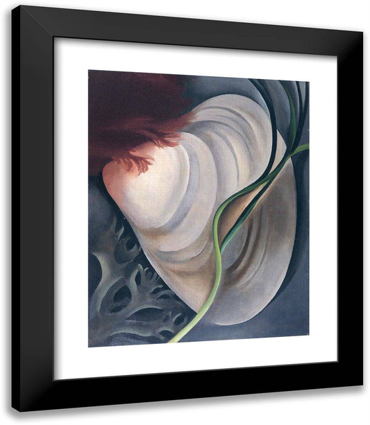 Shell No 2 20x23 Black Modern Wood Framed Art Print Poster by O'Keeffe, Georgia