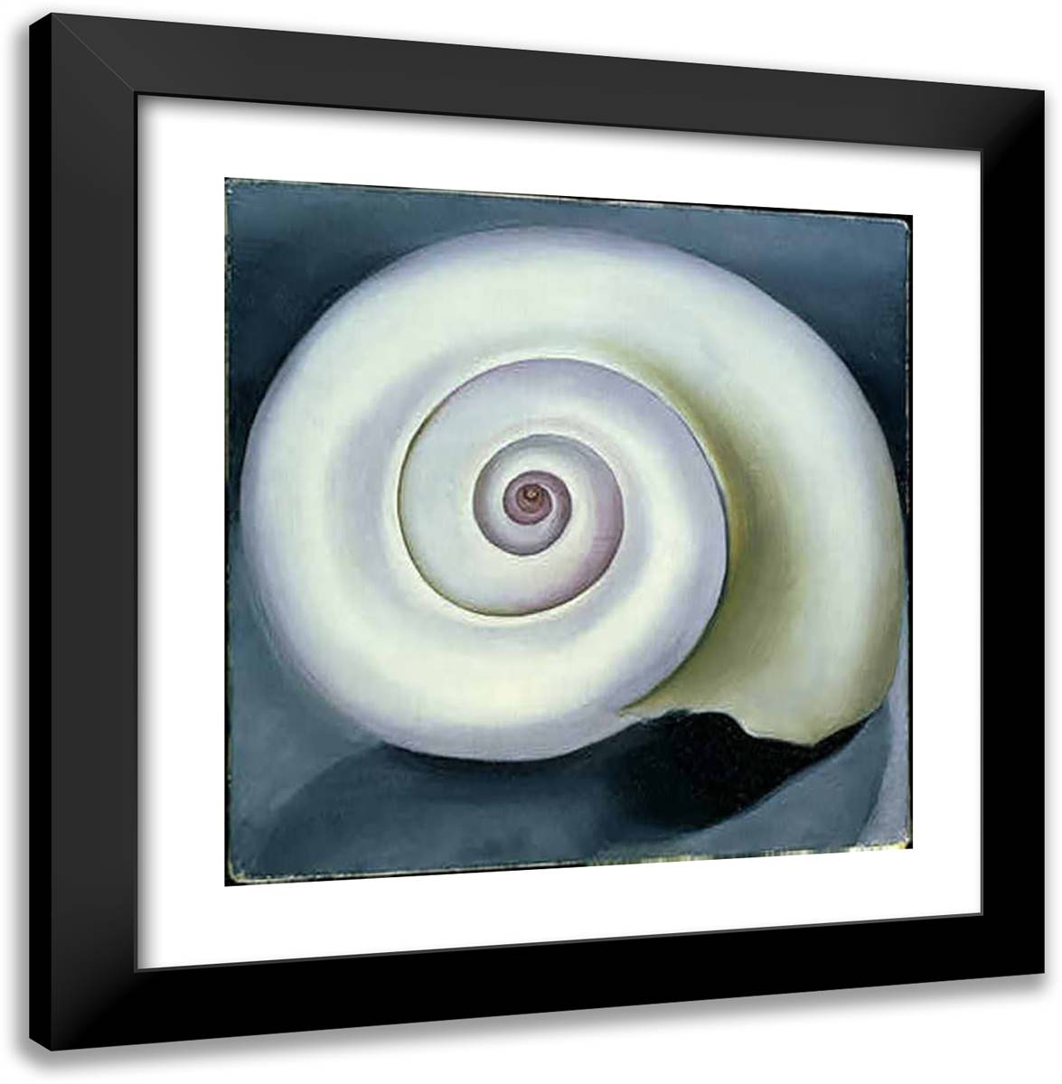 Shell No. I 20x20 Black Modern Wood Framed Art Print Poster by O'Keeffe, Georgia