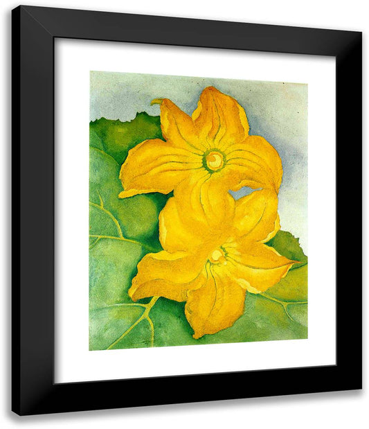 Squash Blossoms I 20x24 Black Modern Wood Framed Art Print Poster by O'Keeffe, Georgia