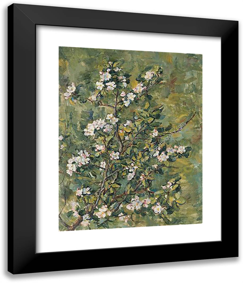 Flowering Apple Branch 20x24 Black Modern Wood Framed Art Print Poster by Konchalovsky, Piotr