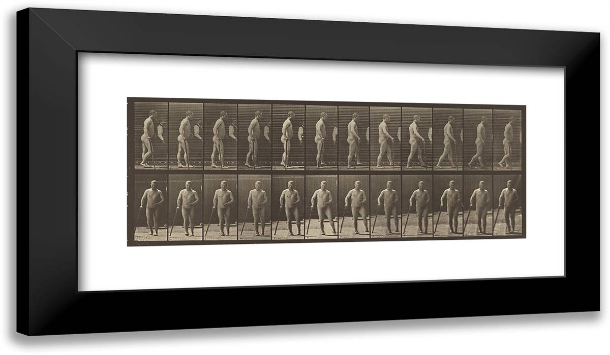 Animal Locomotion V 24x14 Black Modern Wood Framed Art Print Poster by Muybridge, Eadweard