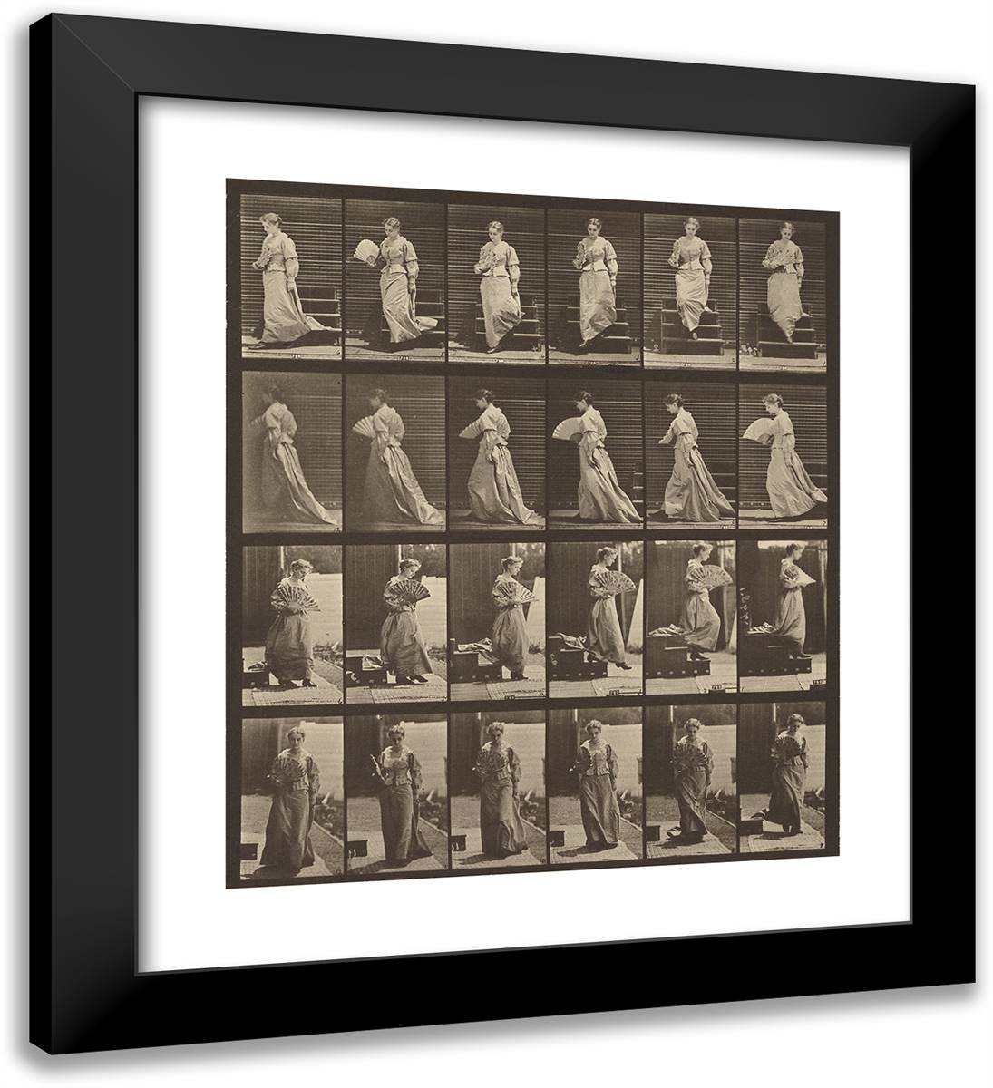 Animal Locomotion VIII 20x22 Black Modern Wood Framed Art Print Poster by Muybridge, Eadweard
