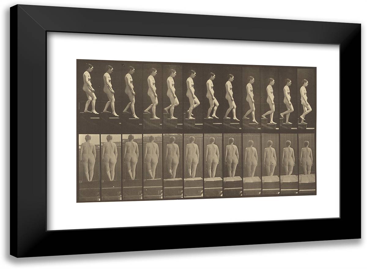 Animal Locomotion XIx 24x18 Black Modern Wood Framed Art Print Poster by Muybridge, Eadweard