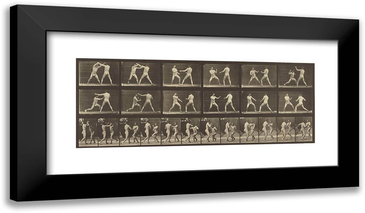 Animal Locomotion Xlii 24x14 Black Modern Wood Framed Art Print Poster by Muybridge, Eadweard