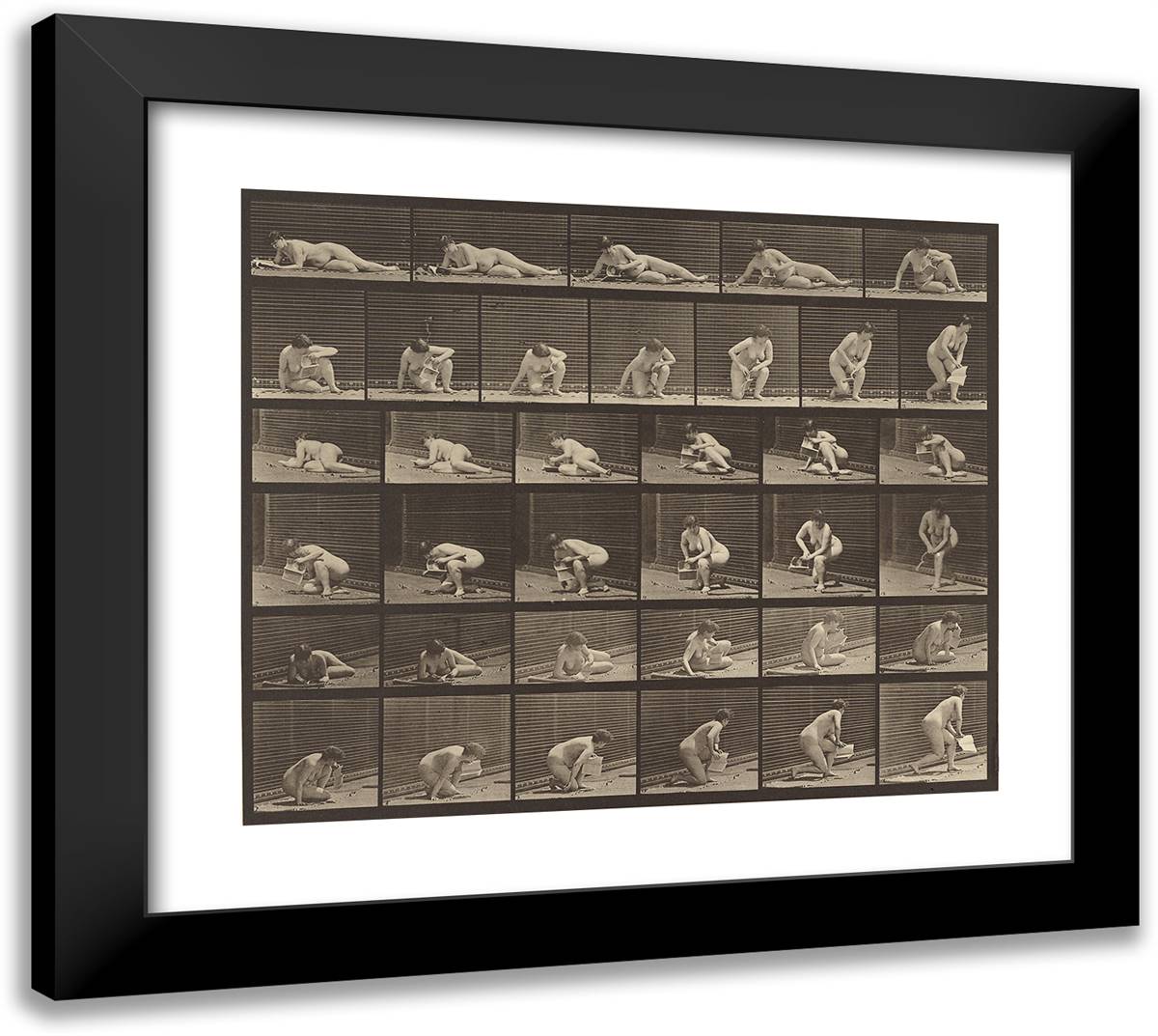Animal Locomotion Xxiii 22x20 Black Modern Wood Framed Art Print Poster by Muybridge, Eadweard