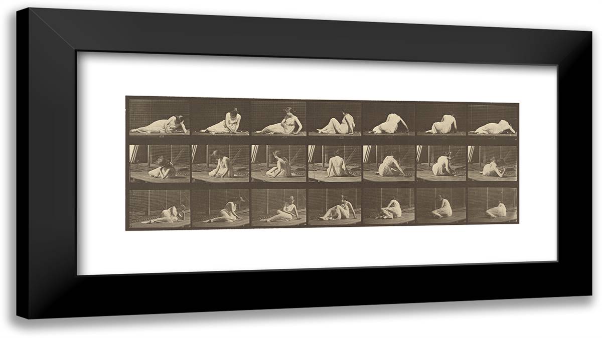 Animal Locomotion Xxiv 24x14 Black Modern Wood Framed Art Print Poster by Muybridge, Eadweard