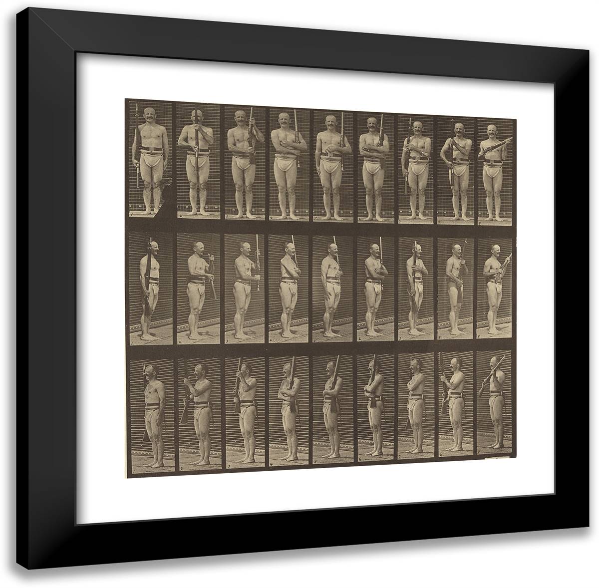 Animal Locomotion Xxv 20x20 Black Modern Wood Framed Art Print Poster by Muybridge, Eadweard