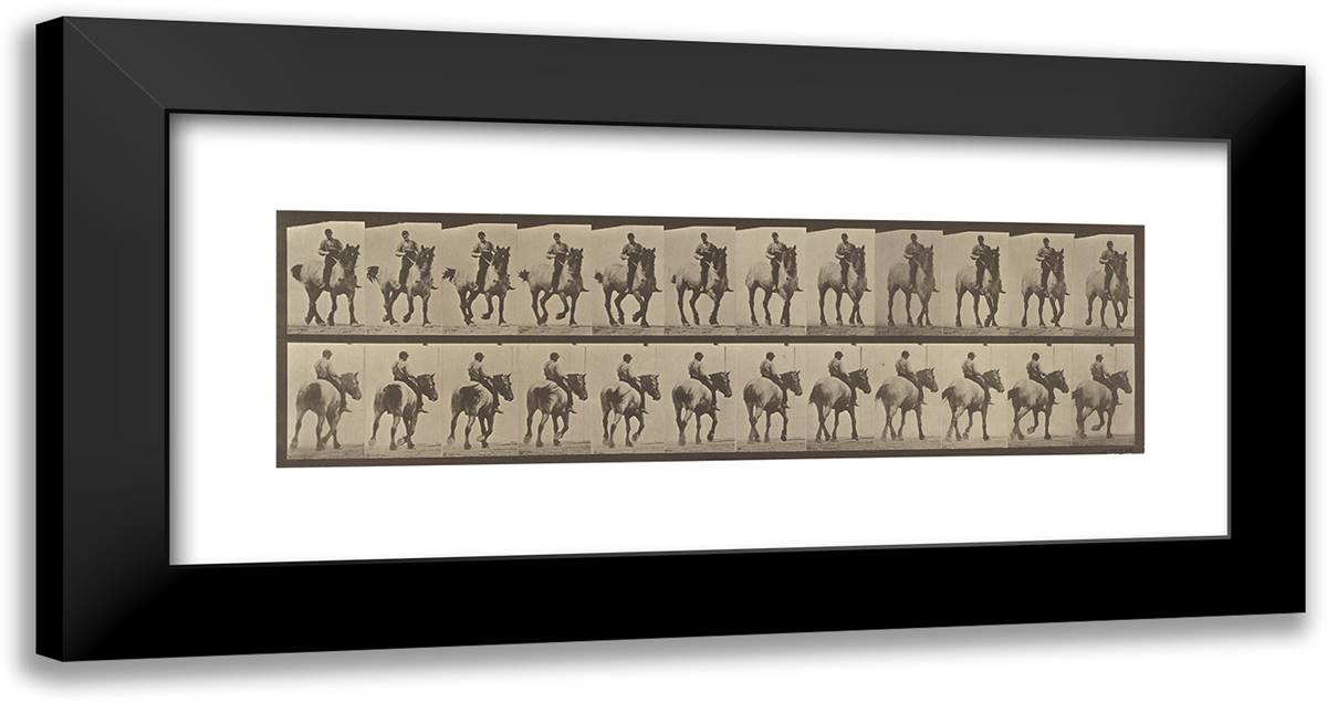 Animal Locomotion Xxvii 24x13 Black Modern Wood Framed Art Print Poster by Muybridge, Eadweard
