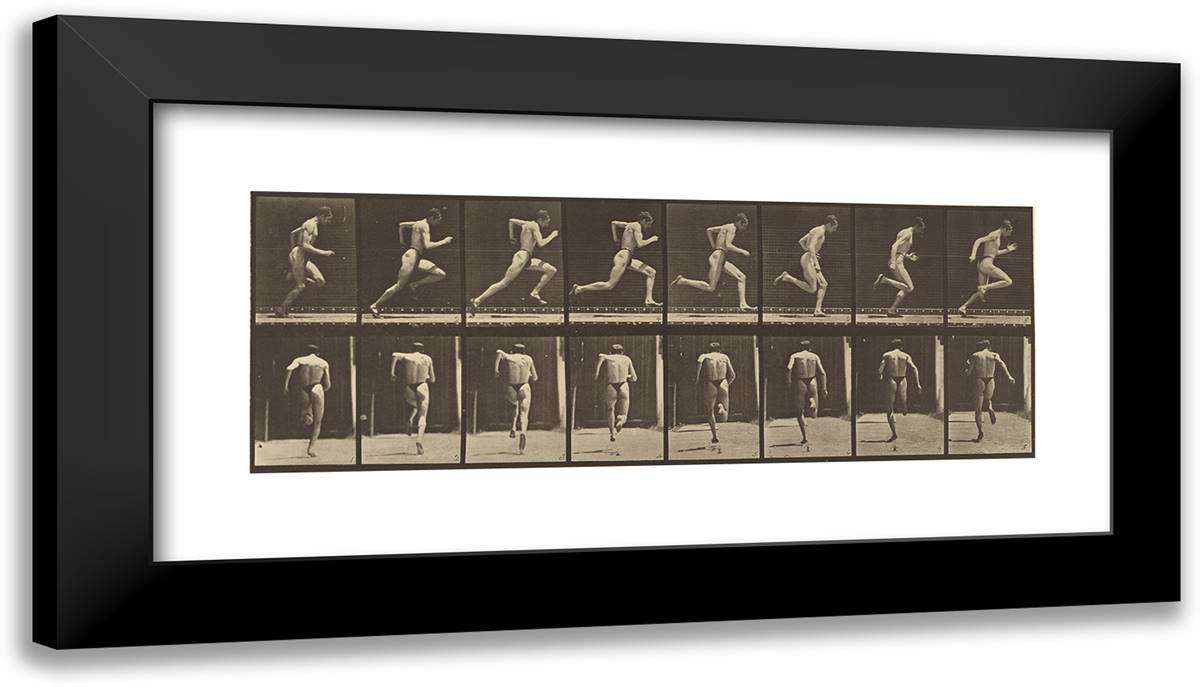 Animal Locomotion Xxx 24x14 Black Modern Wood Framed Art Print Poster by Muybridge, Eadweard