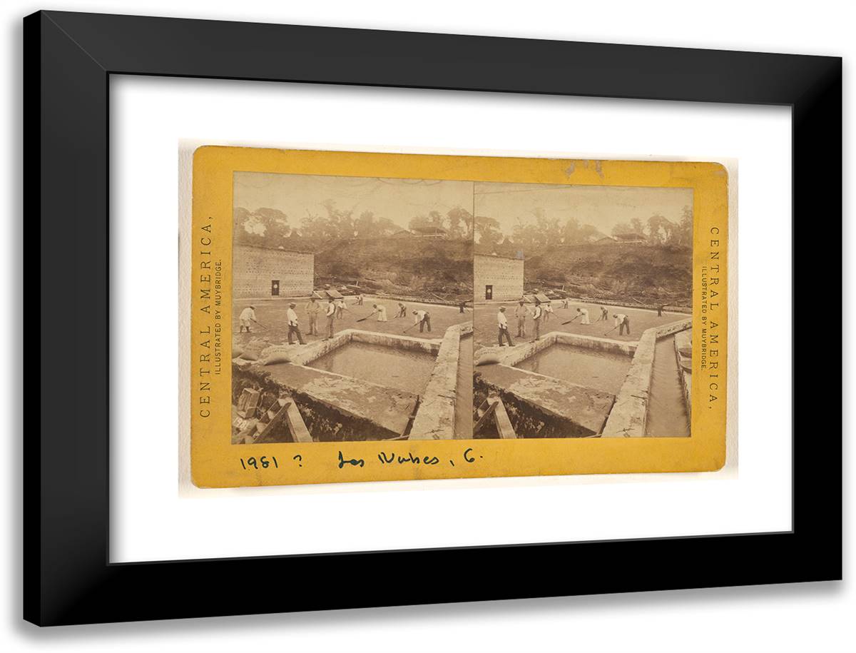 Cultivation of Coffee. Drying the Berries on the Patio at La 24x18 Black Modern Wood Framed Art Print Poster by Muybridge, Eadweard