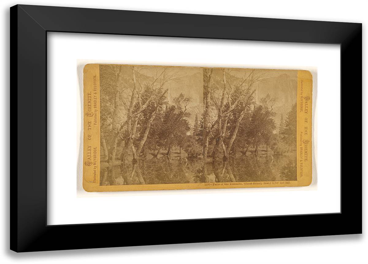 Falls of the Yosemite, (Great Grizzly Bear,) 2,700 Feet Fall 24x17 Black Modern Wood Framed Art Print Poster by Muybridge, Eadweard