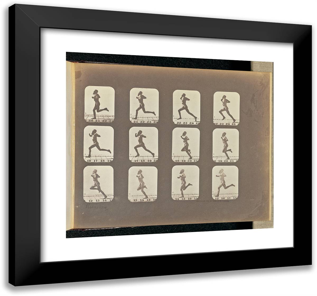 Male Runner 21x20 Black Modern Wood Framed Art Print Poster by Muybridge, Eadweard
