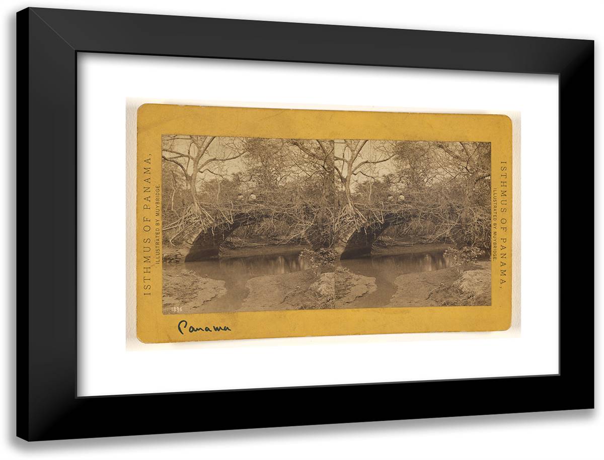 Old Panama. Bridge on Porto Bello Road. 24x18 Black Modern Wood Framed Art Print Poster by Muybridge, Eadweard