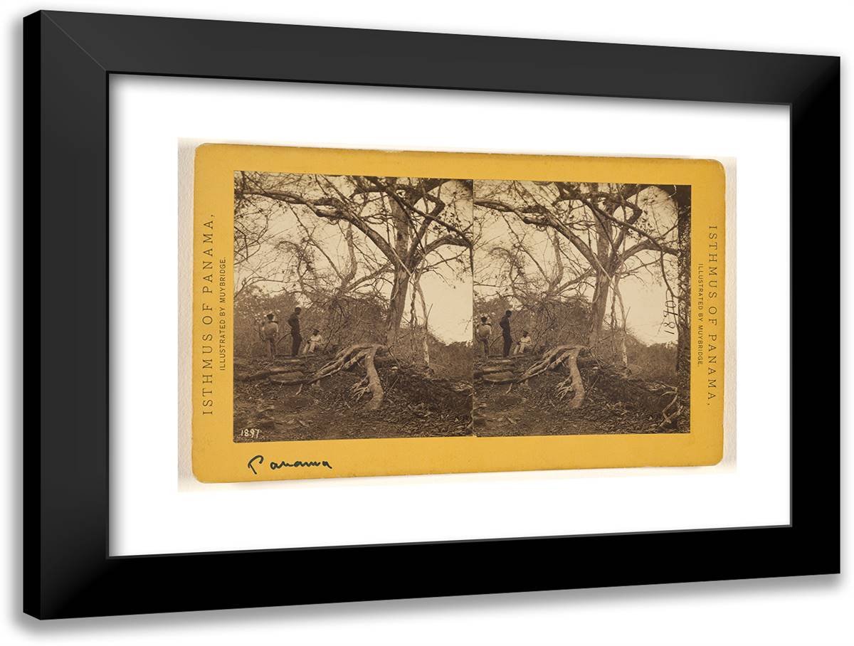 Old Panama. Porto Bello Road. 24x18 Black Modern Wood Framed Art Print Poster by Muybridge, Eadweard