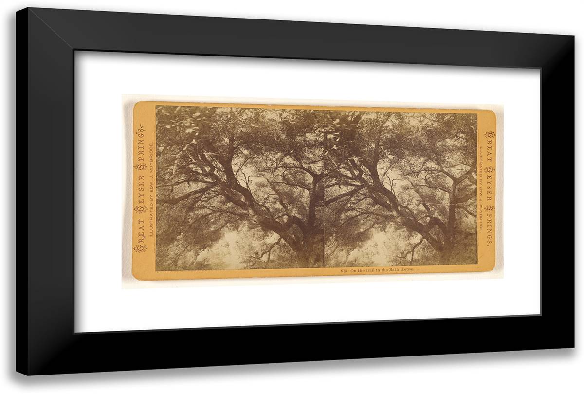 On the Trail to the Bath House. 24x16 Black Modern Wood Framed Art Print Poster by Muybridge, Eadweard