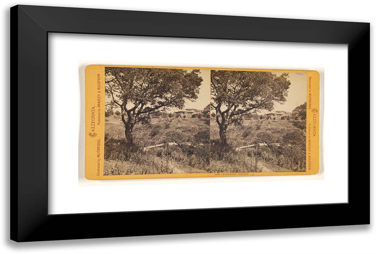 Piedmont Springs. 24x16 Black Modern Wood Framed Art Print Poster by Muybridge, Eadweard