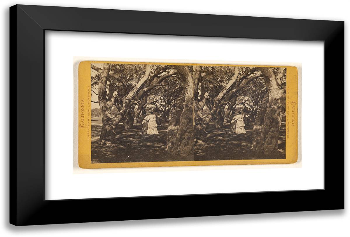 Two Women Walking with Backs to Camera Through a Series Of 24x16 Black Modern Wood Framed Art Print Poster by Muybridge, Eadweard