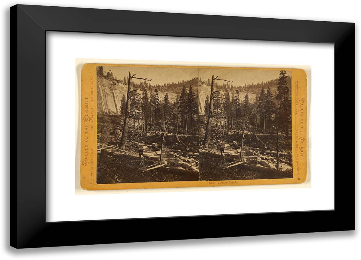 Yowiye Bench. 24x17 Black Modern Wood Framed Art Print Poster by Muybridge, Eadweard