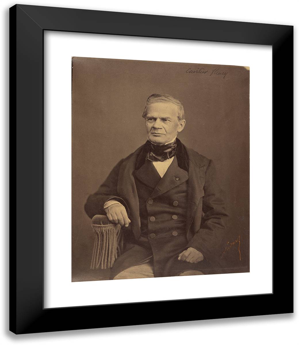 Alfred-Auguste Cuvillier-Fleury 20x24 Black Modern Wood Framed Art Print Poster by Nadar, Gaspard