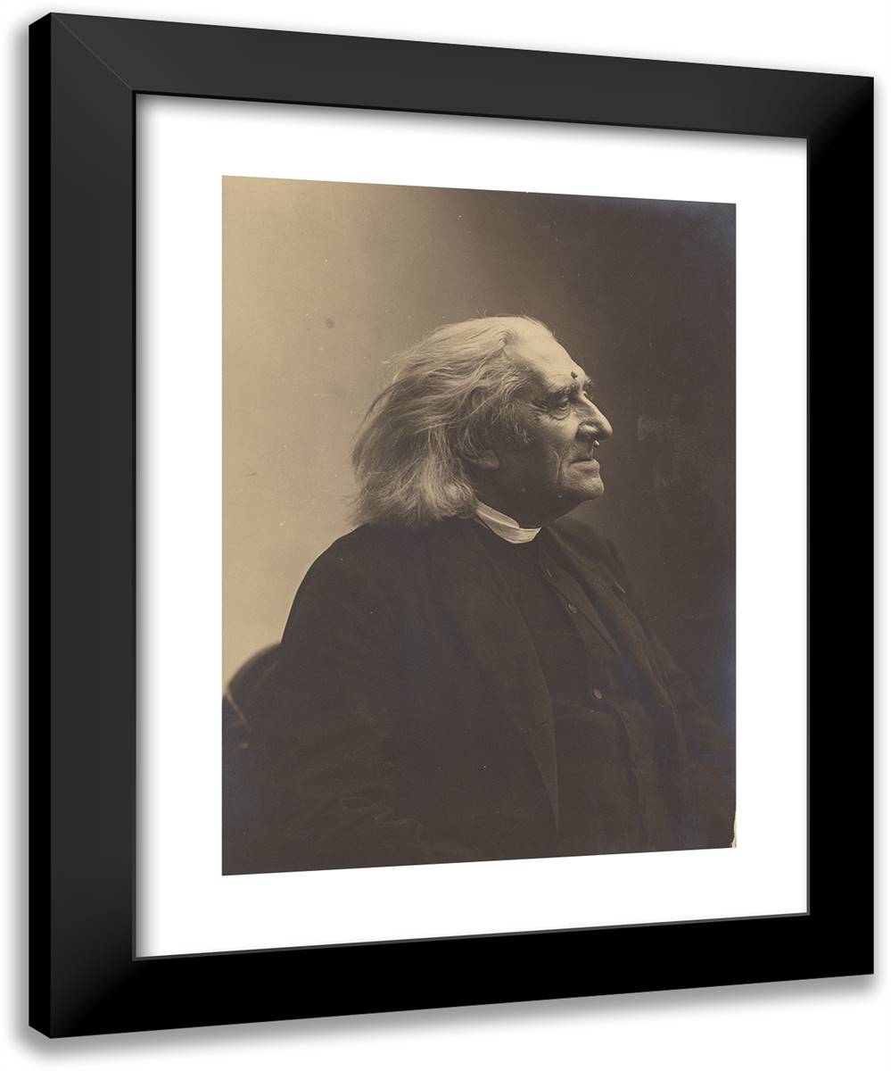 Franz Liszt VII 19x24 Black Modern Wood Framed Art Print Poster by Nadar, Gaspard