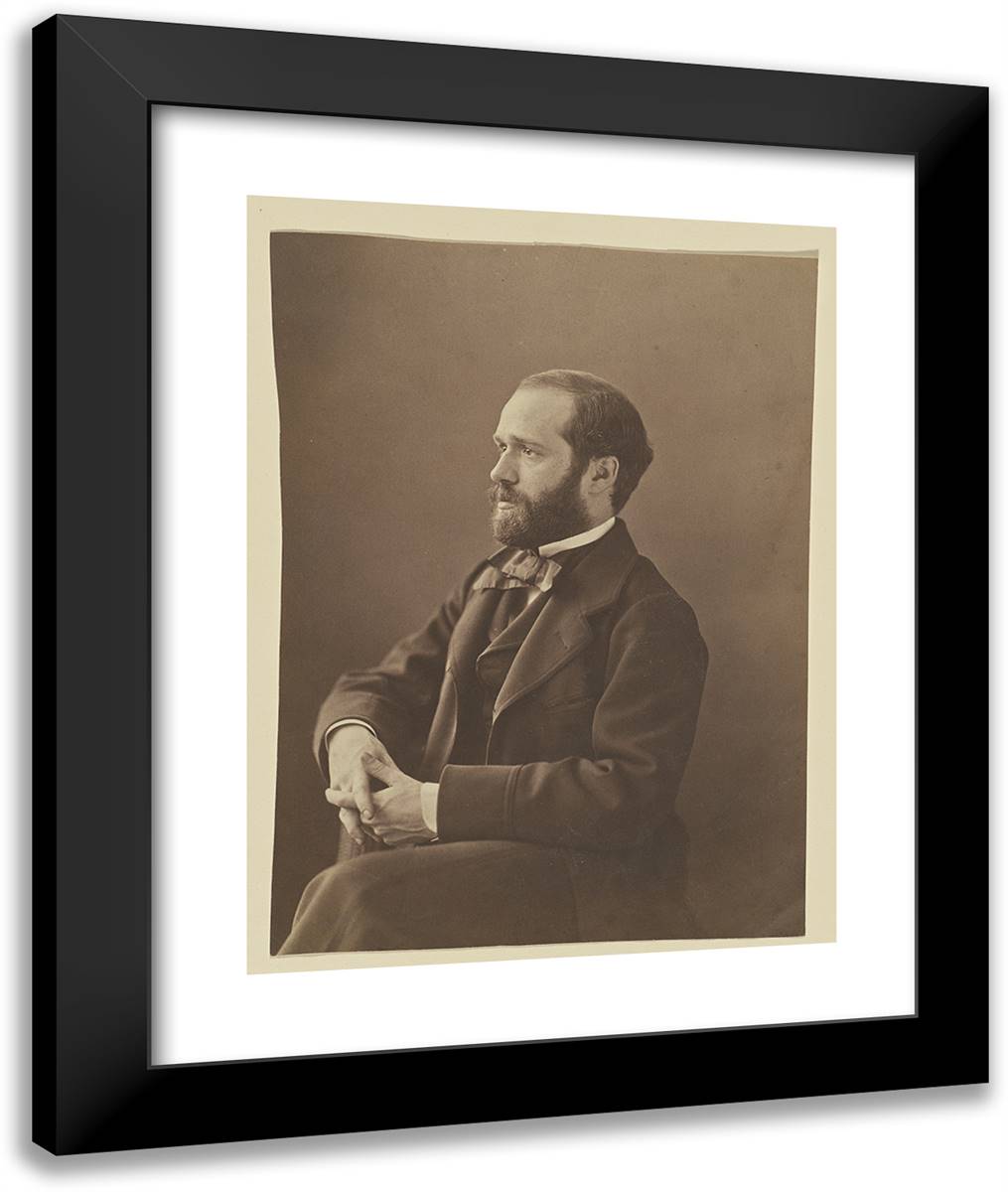 Lory 20x24 Black Modern Wood Framed Art Print Poster by Nadar, Gaspard
