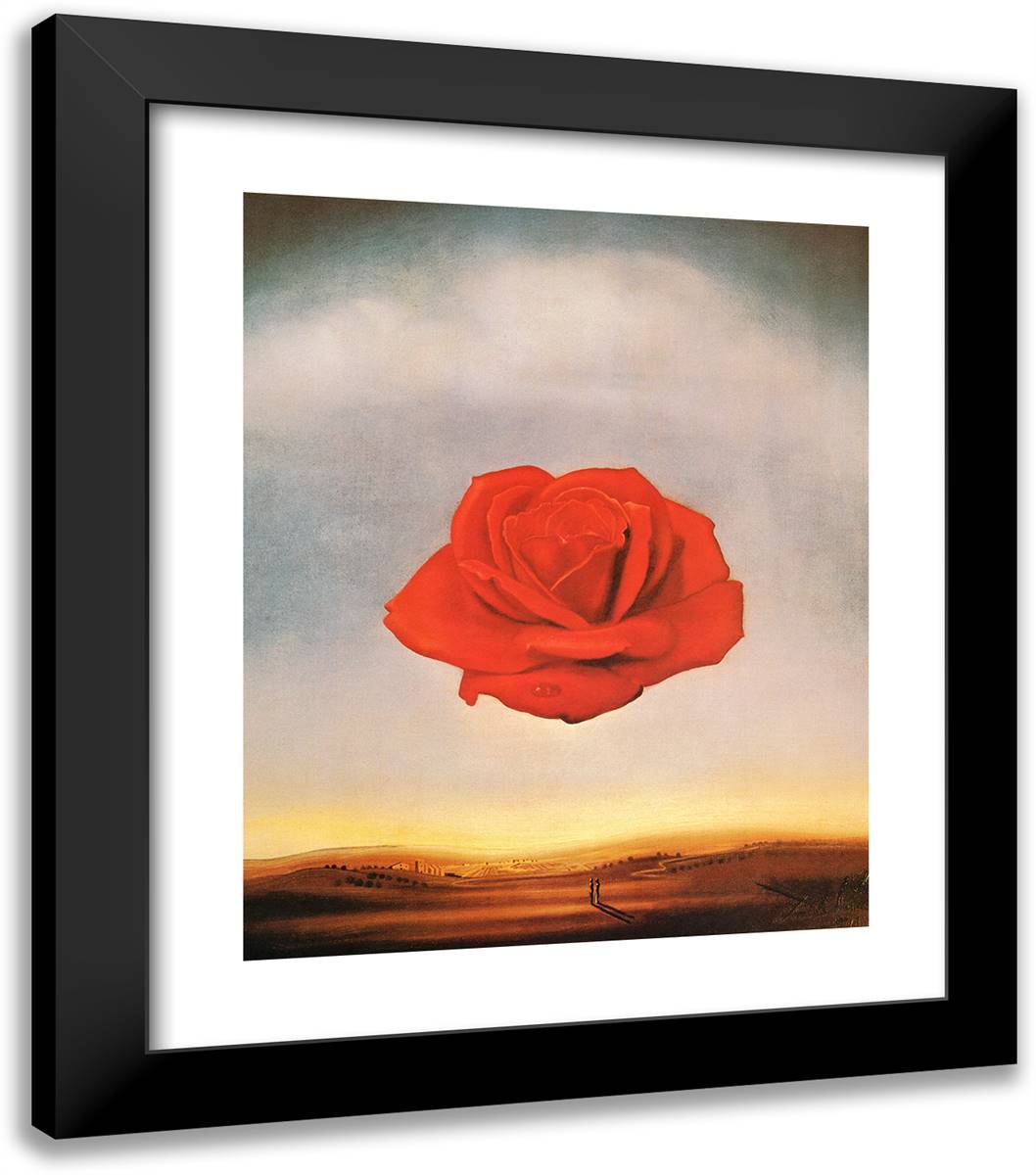 Meditative Rose 20x23 Black Modern Wood Framed Art Print Poster by Dali, Salvador