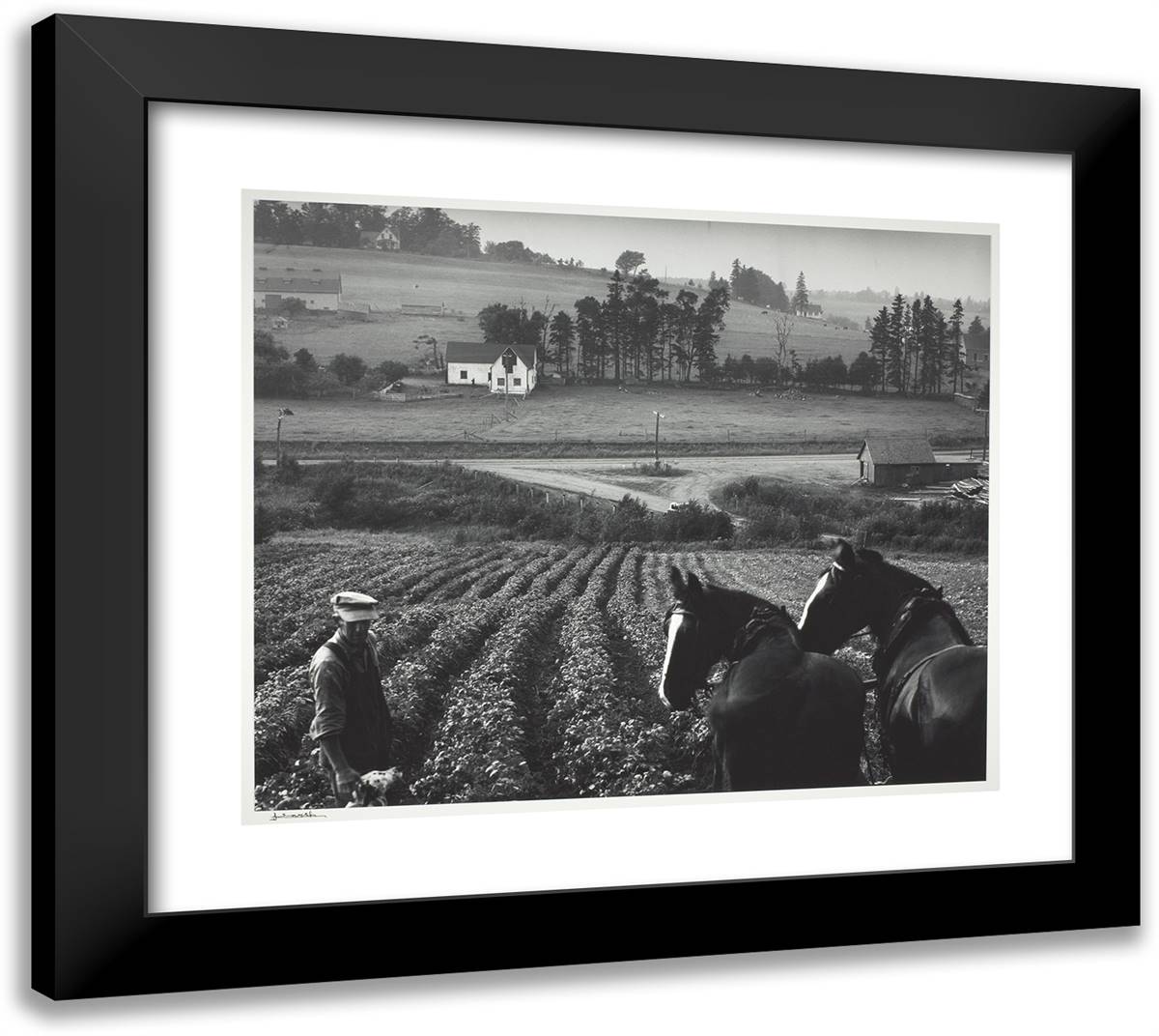 Horses and Farmer (P.E.I.) 22x20 Black Modern Wood Framed Art Print Poster by Karsh, Yousuf