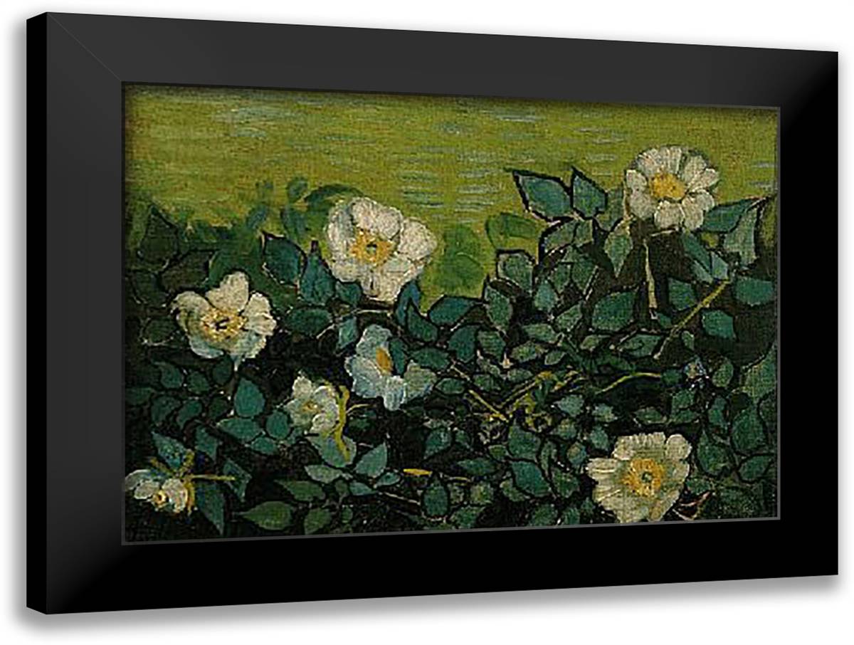 Wild Roses, San Remy 1890 21x18 Black Modern Wood Framed Art Print Poster by Van Gogh, Vincent