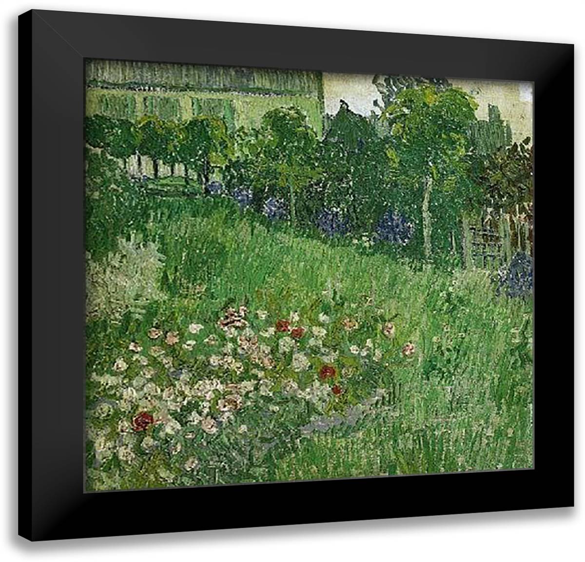 Garden Of Daubigny, Auvers 1890 28x28 Black Modern Wood Framed Art Print Poster by Van Gogh, Vincent