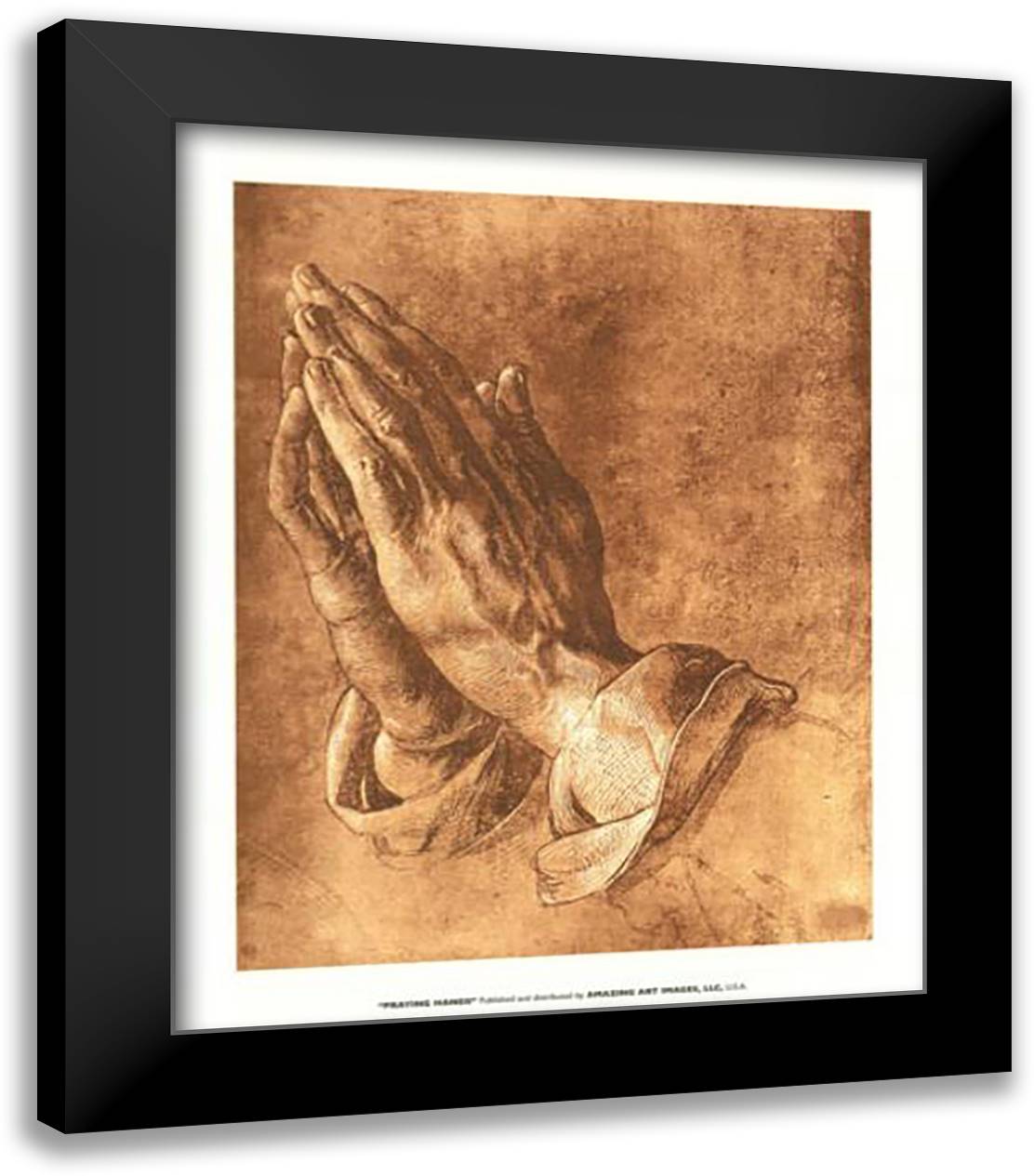 Praying Hands 16x19 Black Modern Wood Framed Art Print Poster by Durer, Albrecht
