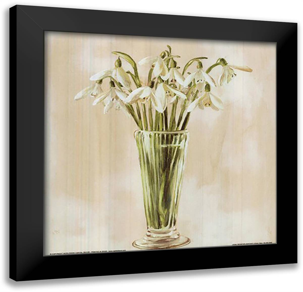 White Flowers 12x12 Black Modern Wood Framed Art Print Poster by Klein, Stela
