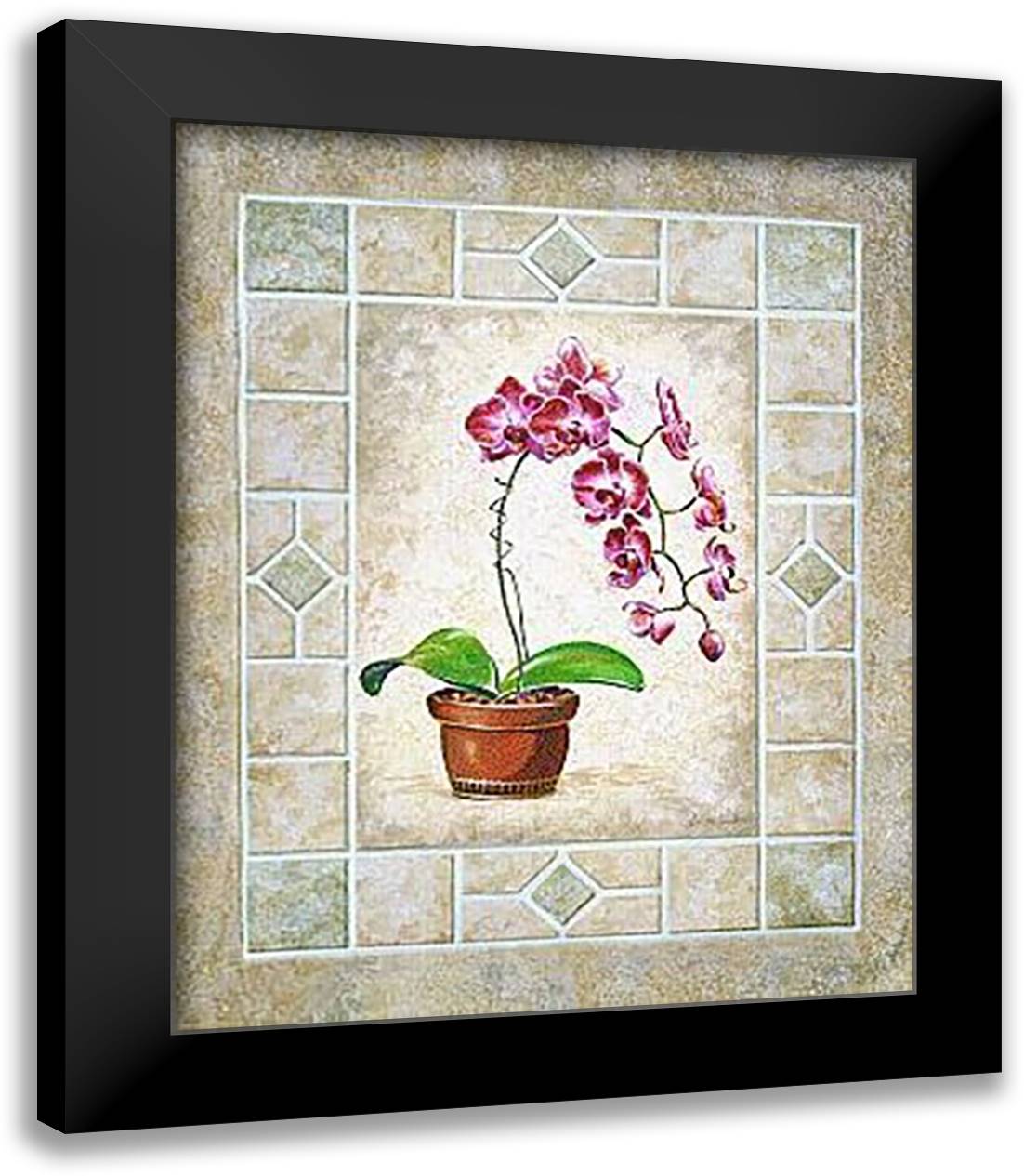 Orchid Blossoms I 15x18 Black Modern Wood Framed Art Print Poster by Bice, Anita