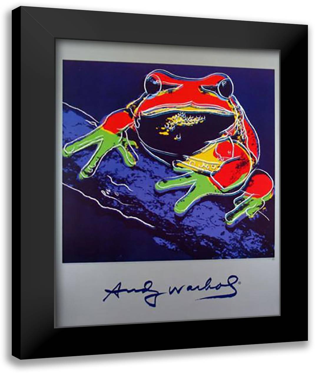 Pine Barrens Tree Frog 28x36 Black Modern Wood Framed Art Print Poster by Warhol, Andy
